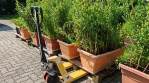 gärtner pötschke todesfall