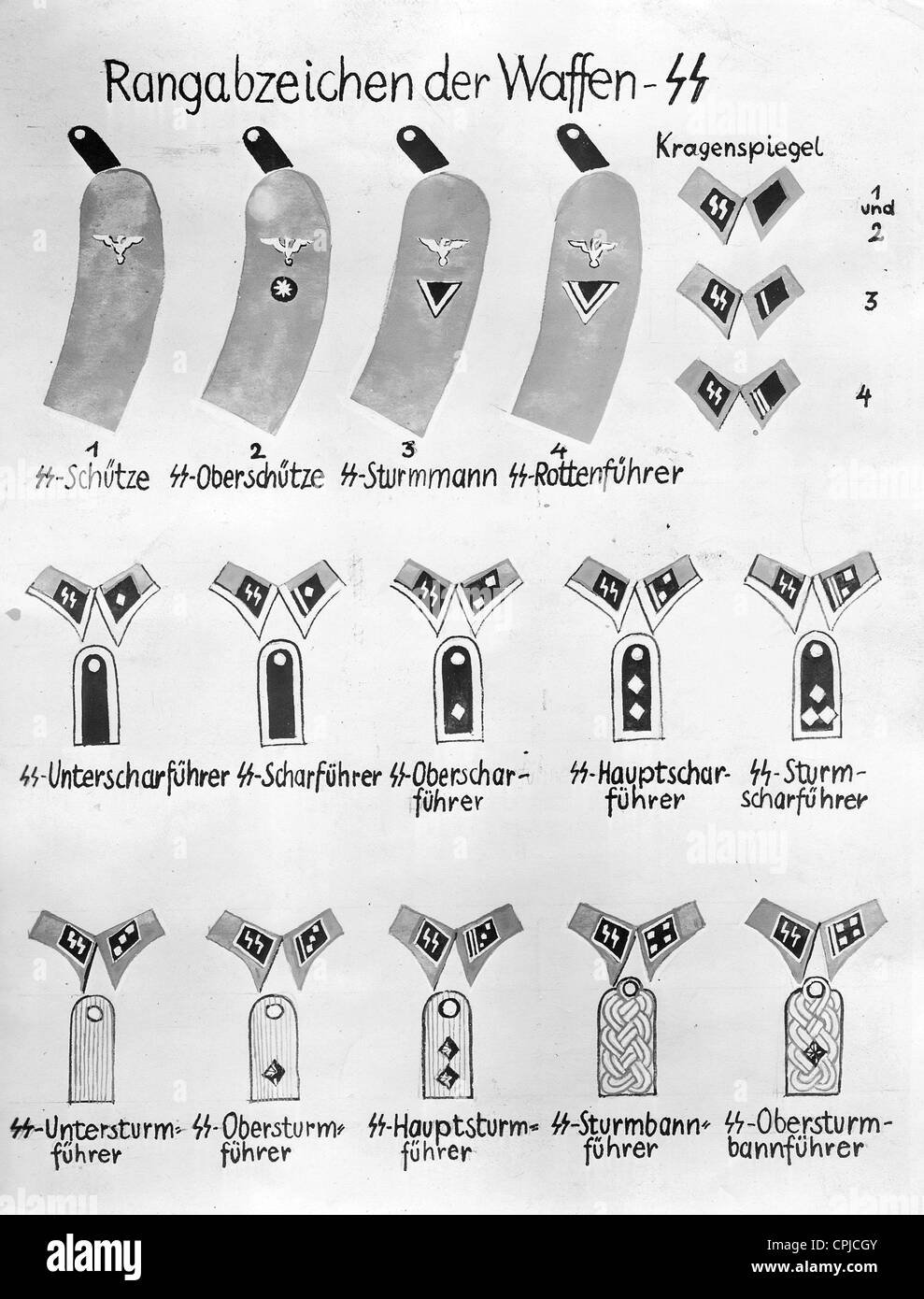SS Abzeichen: Geschichte, Typen und rechtliche Lage